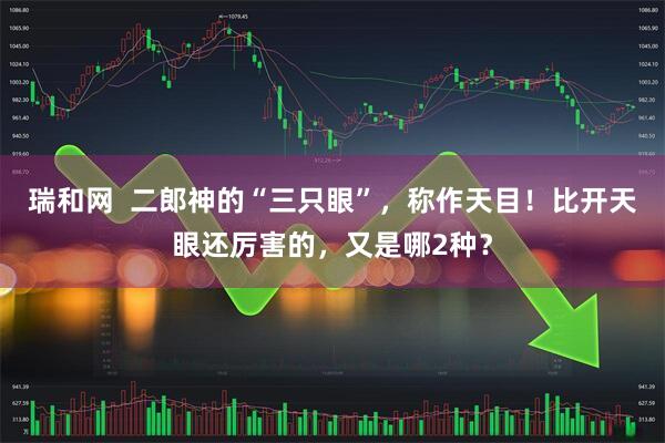 瑞和网  二郎神的“三只眼”，称作天目！比开天眼还厉害的，又是哪2种？