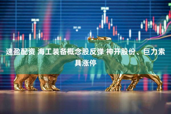 速盈配资 海工装备概念股反弹 神开股份、巨力索具涨停