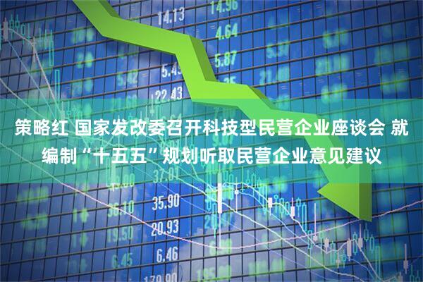 策略红 国家发改委召开科技型民营企业座谈会 就编制“十五五”规划听取民营企业意见建议