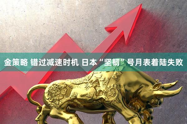 金策略 错过减速时机 日本“坚韧”号月表着陆失败