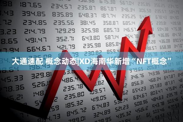 大通速配 概念动态|XD海南华新增“NFT概念”