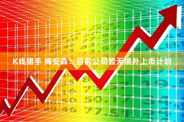 K线猎手 梅安森：目前公司暂无境外上市计划