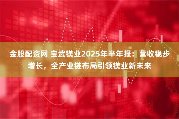 金股配资网 宝武镁业2025年半年报：营收稳步增长，全产业链布局引领镁业新未来