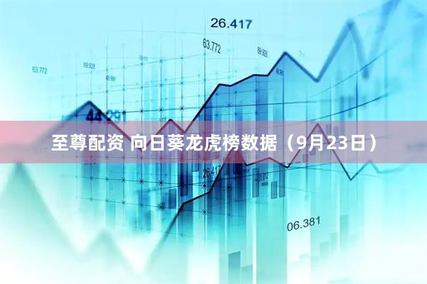 至尊配资 向日葵龙虎榜数据（9月23日）