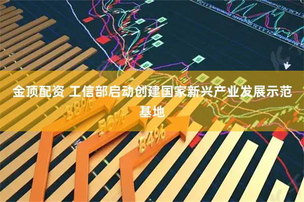 金顶配资 工信部启动创建国家新兴产业发展示范基地