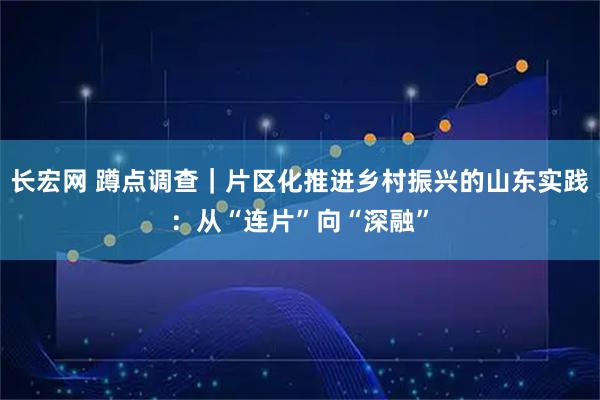 长宏网 蹲点调查｜片区化推进乡村振兴的山东实践：从“连片”向“深融”