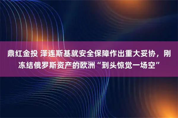 鼎红金投 泽连斯基就安全保障作出重大妥协，刚冻结俄罗斯资产的欧洲“到头惊觉一场空”